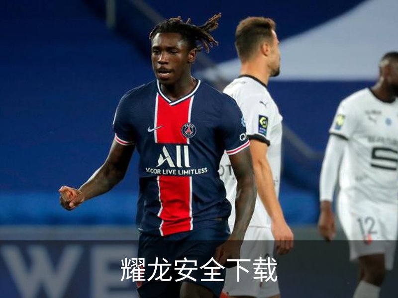 耀龙安全下载简介