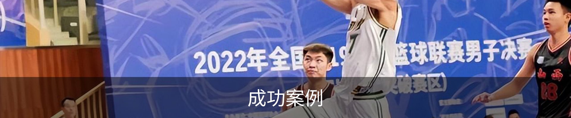 成功案例