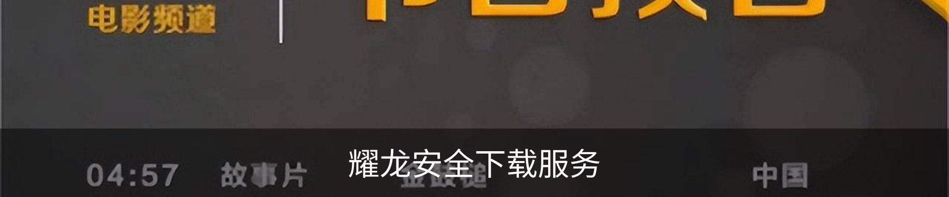 耀龙安全下载服务