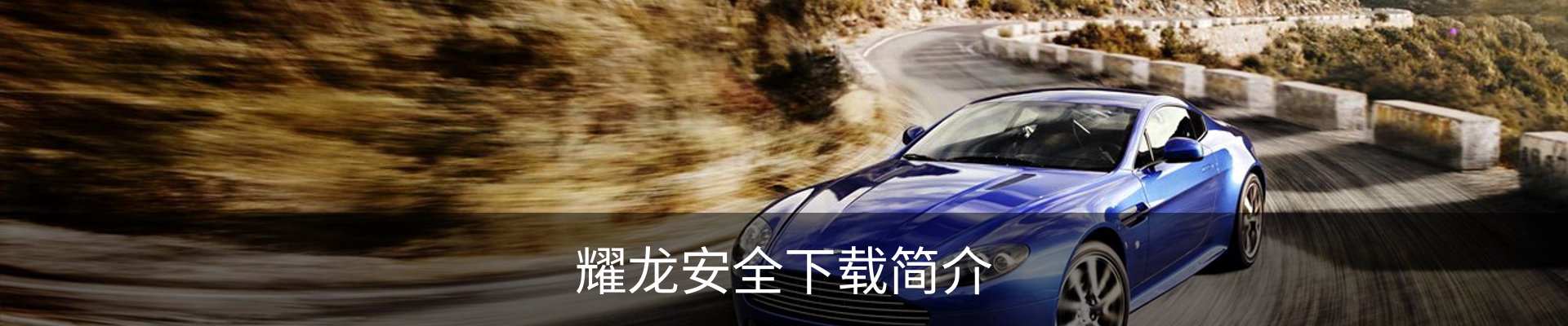 耀龙安全下载简介