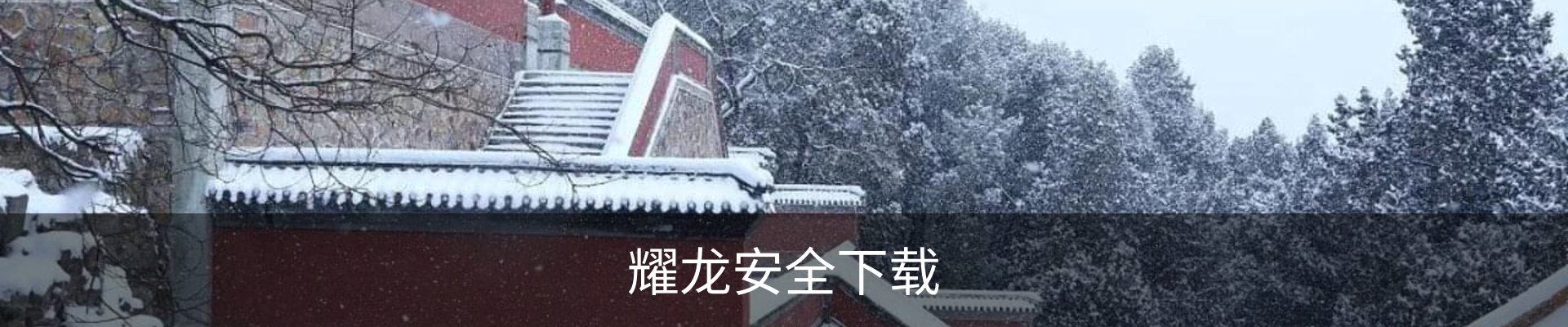 耀龙安全下载